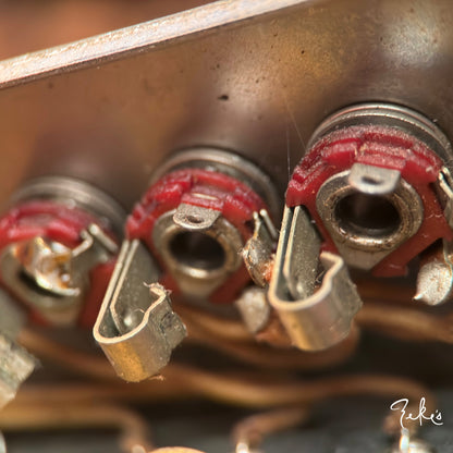 1959 Fender Vibrolux 5F11