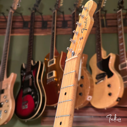 1972/73 Fender Telecaster Thinline
