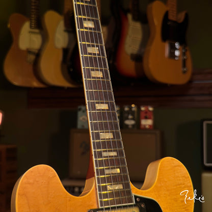 Giordano Tributo TD in Blonde #003