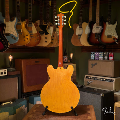 Giordano Tributo TD in Blonde #003