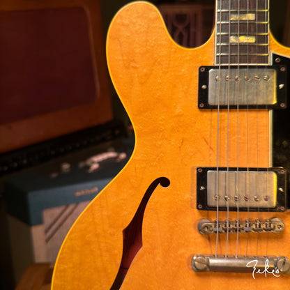 Giordano Tributo TD in Blonde #003
